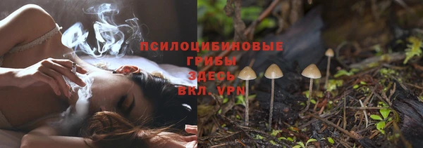 соль курить ск Ладушкин