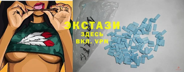 ECSTASY Лагань