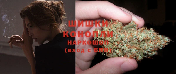 ECSTASY Лагань