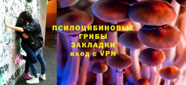 соль курить ск Ладушкин