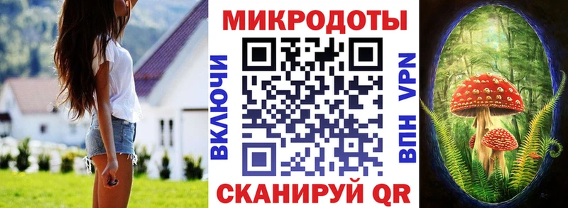 Купить где  Катав-Ивановск  Псилоцибиновые грибы MAGIC MUSHROOMS 