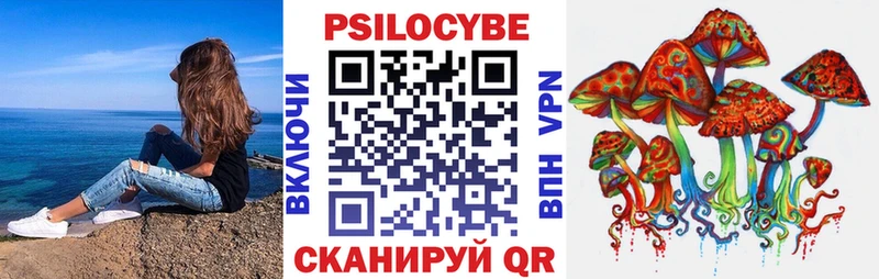Псилоцибиновые грибы прущие грибы Катав-Ивановск